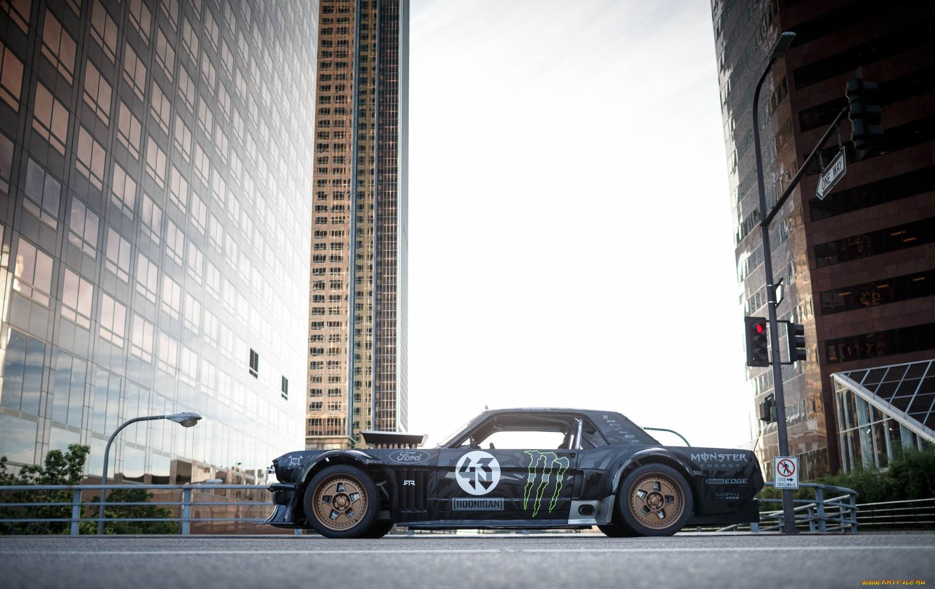 , mustang